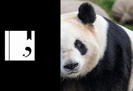 2016版熊猫看书苹果熊猫绘画2021最新版下载-第1张图片-太平洋在线下载