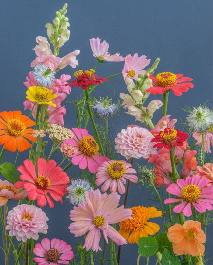 flowers手机版flowers游戏资源