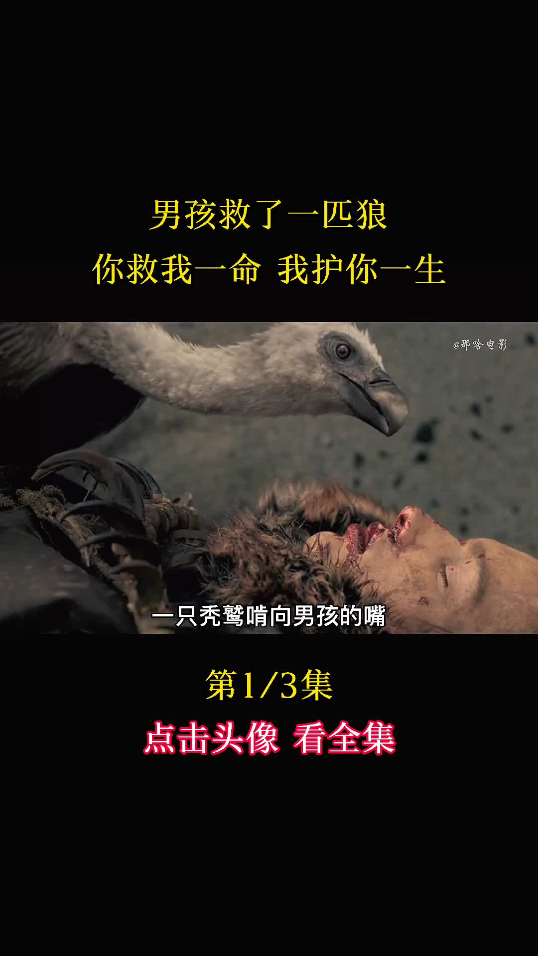 神马八哥电影网手机版第九神院超神达达兔511-第1张图片-太平洋在线下载