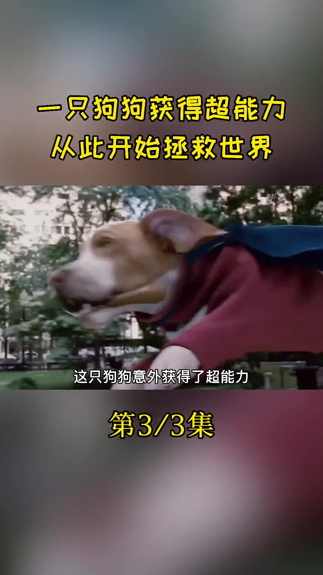 神马八哥电影网手机版第九神院超神达达兔511-第2张图片-太平洋在线下载